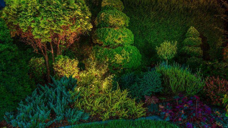 Effektbeleuchtung im Garten